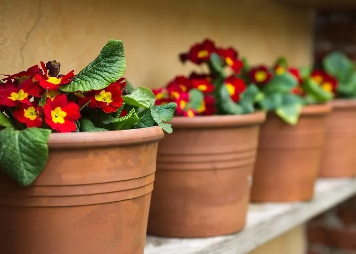 Bed & Breakfast Il Relais Dell'abbazia