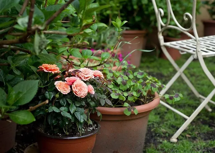 Bed & Breakfast Il Relais Dell'abbazia Verona